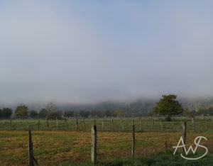 La Dordogne