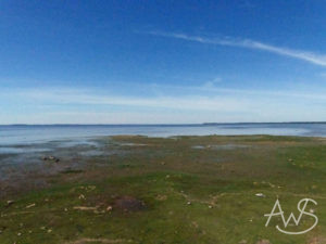 Haapsalu