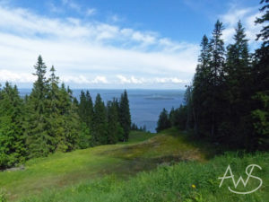 Koli-Berge