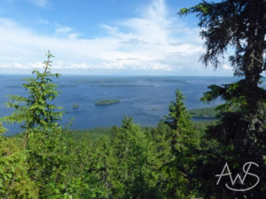 Koli-Berge