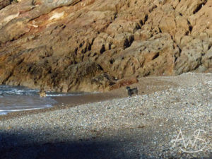 Badestrand ?