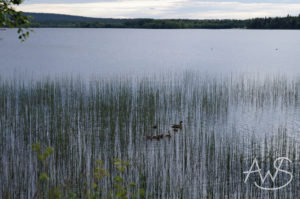 Kemijärvi