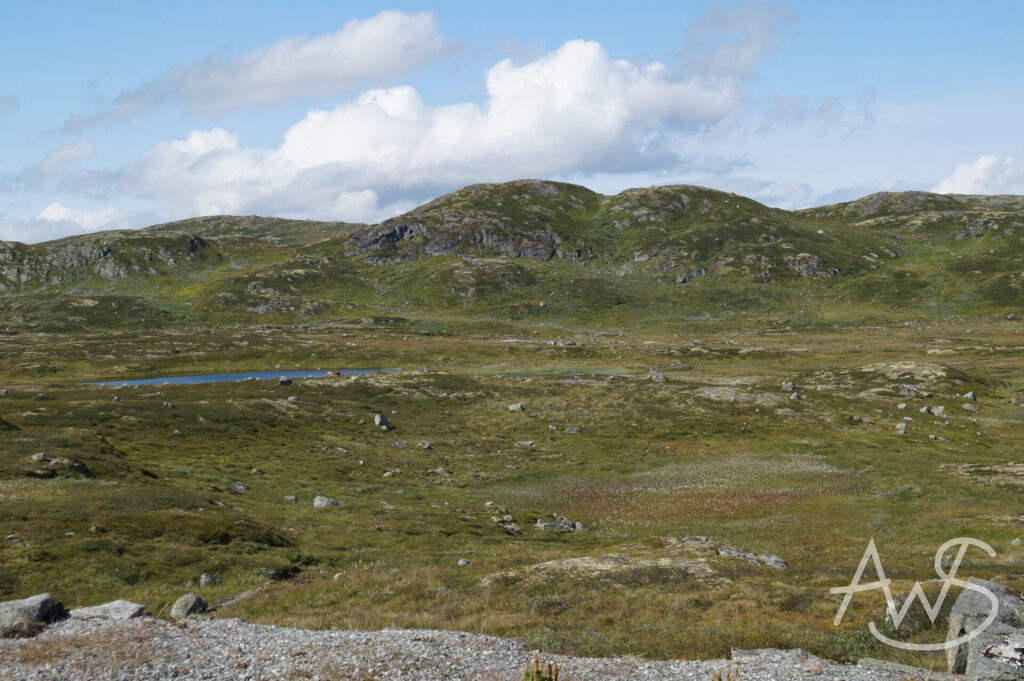 Hardangervidda