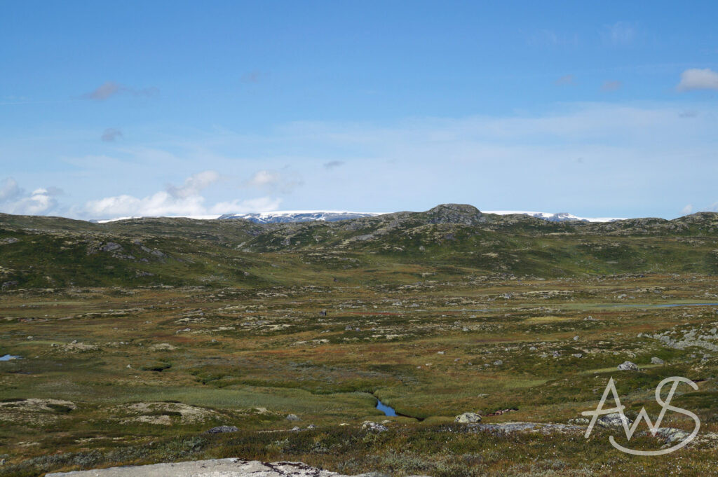 Hardangervidda